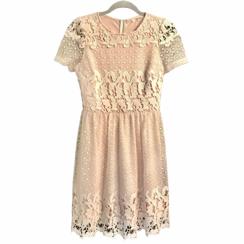 Stunning Lace Midi Dress